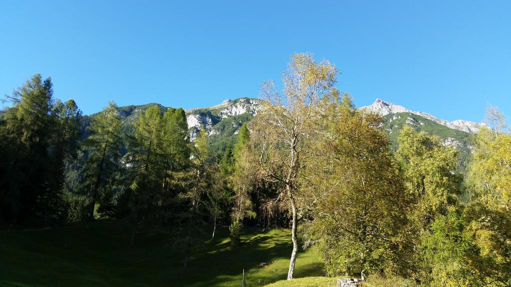 Ferienwohnungen Rauth Leutasch Dış mekan fotoğraf