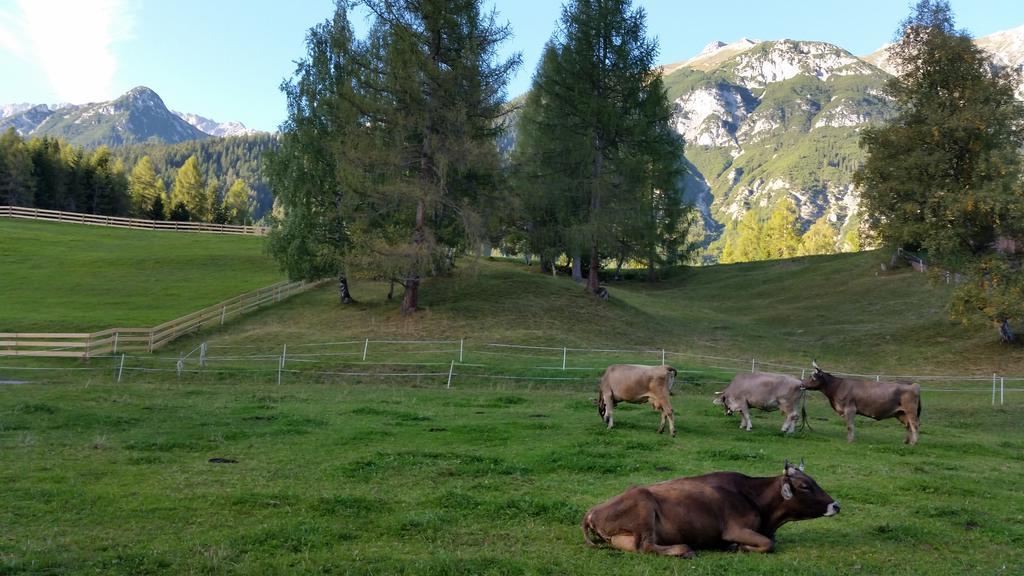 Ferienwohnungen Rauth Leutasch Dış mekan fotoğraf